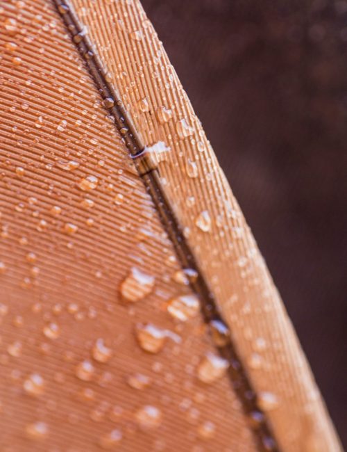 transparent-water-drops-brown-feather-surface